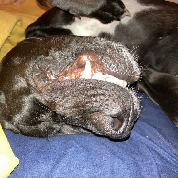 Meet your Posher, Jon - Picture 7 of 11